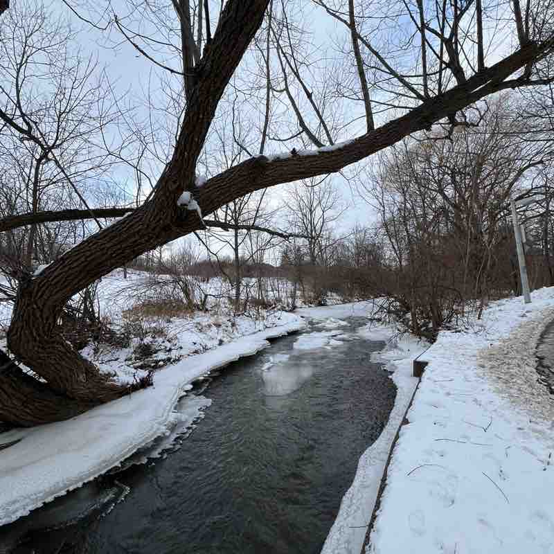 Kunjan 🇨🇦 post 1