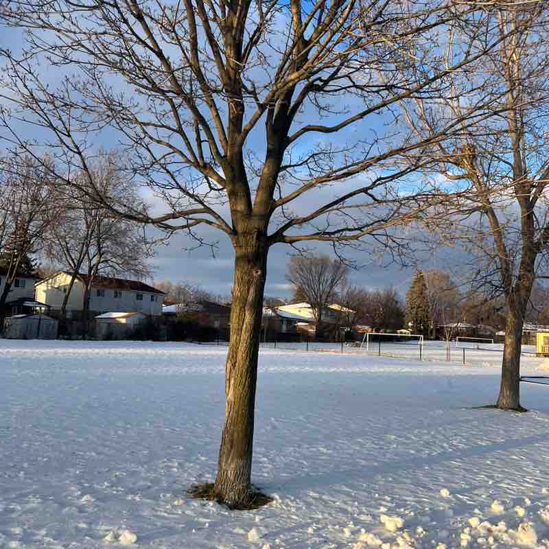 Kunjan 🇨🇦 post 2