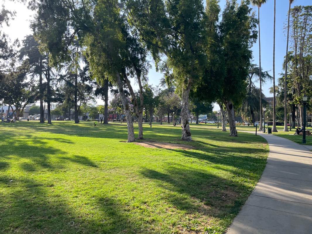 walking near me in Central Park in spring