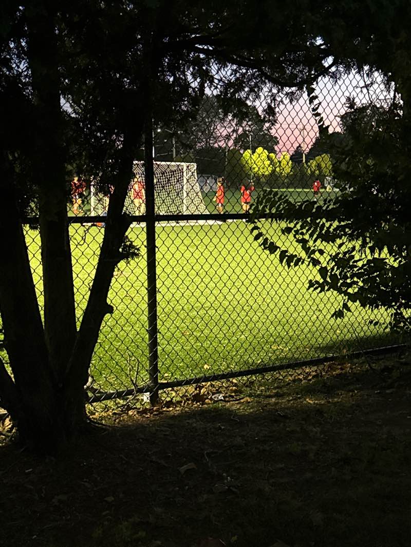 walking near me in Cpl Kevin Kolm Memorial Park (Triangle Park) H-19 in autumn