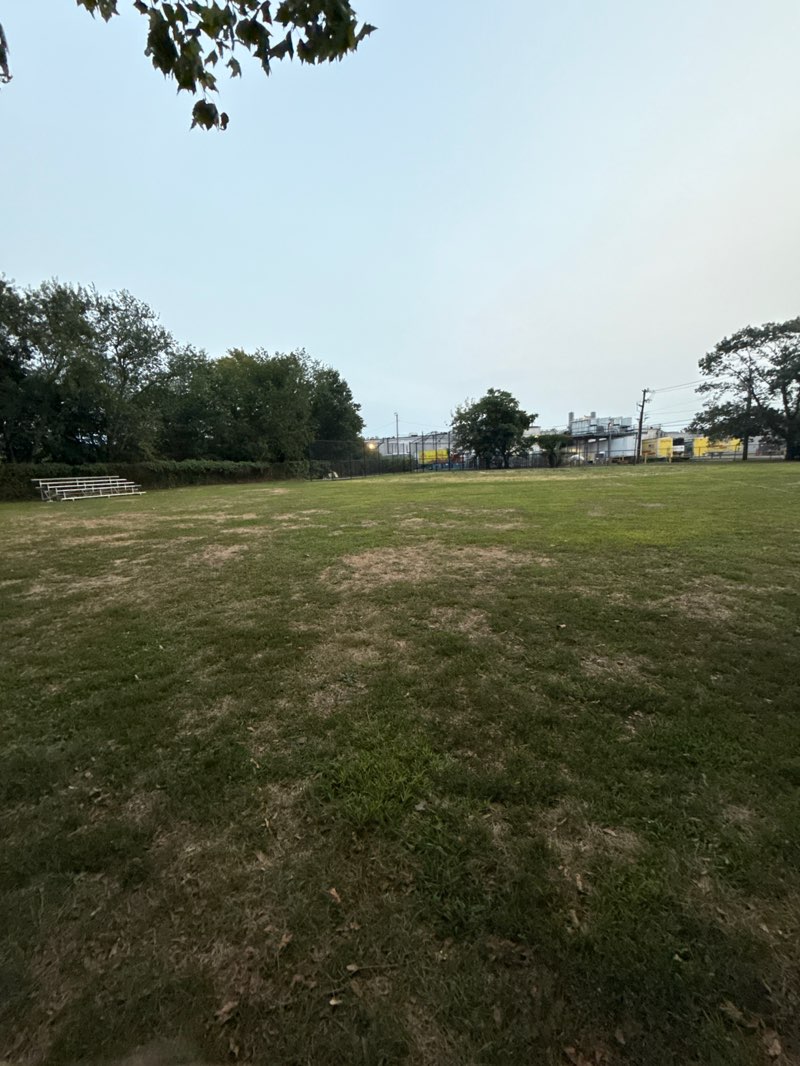 walking near me in Market Drive Park S-9 in autumn