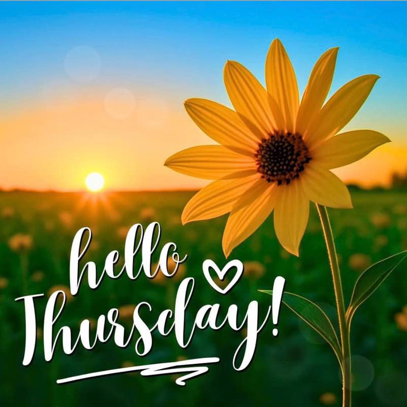 MARINES NYC💪🏼 🧿Bobbie 🪬🍀💎💚💠 post image