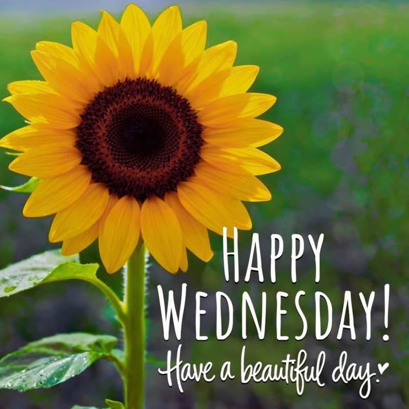 🧿Bobbie 🪬🍀💎💚💠 post 3