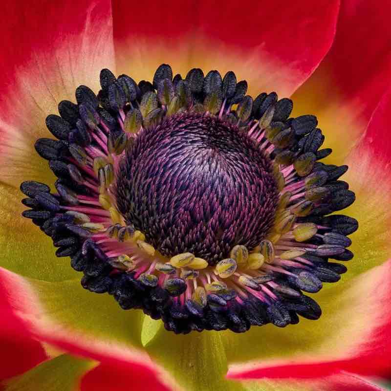 🧿Bobbie 🪬🍀💎💚💠 post 3