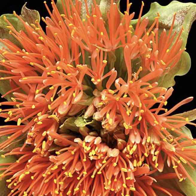 🧿Bobbie 🪬🍀💎💚💠 post 1