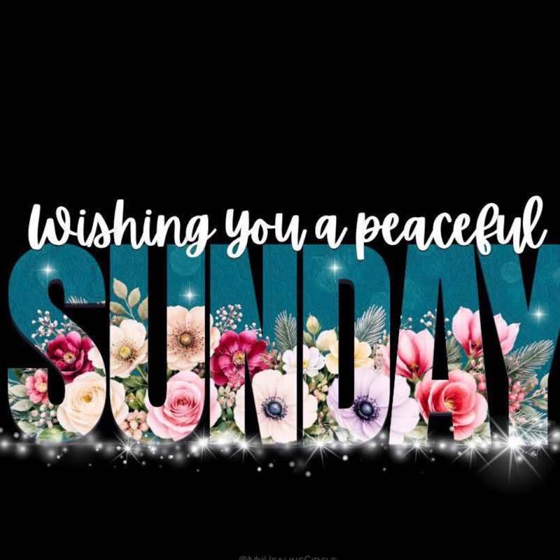 🧿Bobbie 🪬🌴🧡🍹🌻 post 1