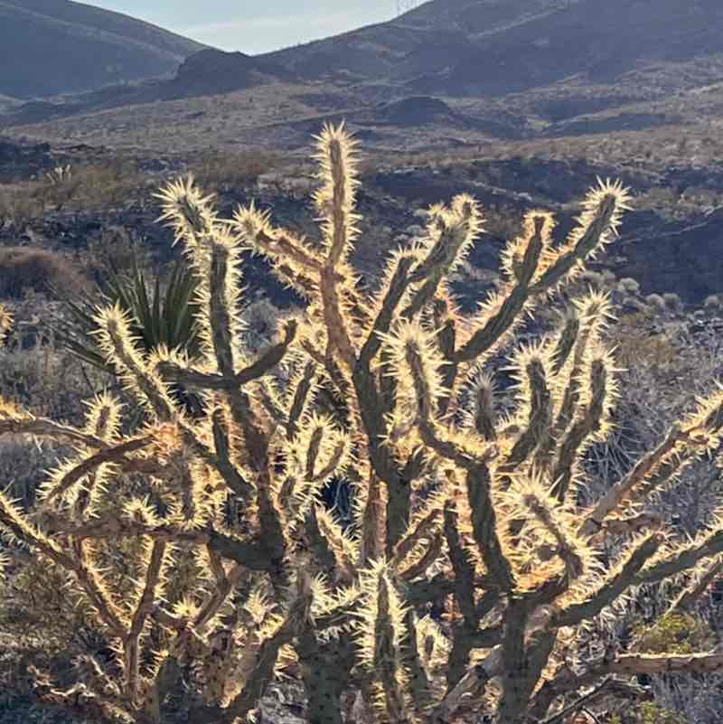 Karl 🇺🇸 🏌️🤘 post 1