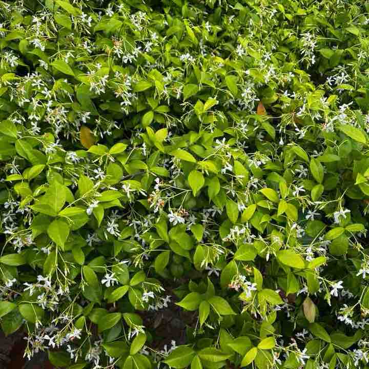 Walk for Ukraine Barbara post image