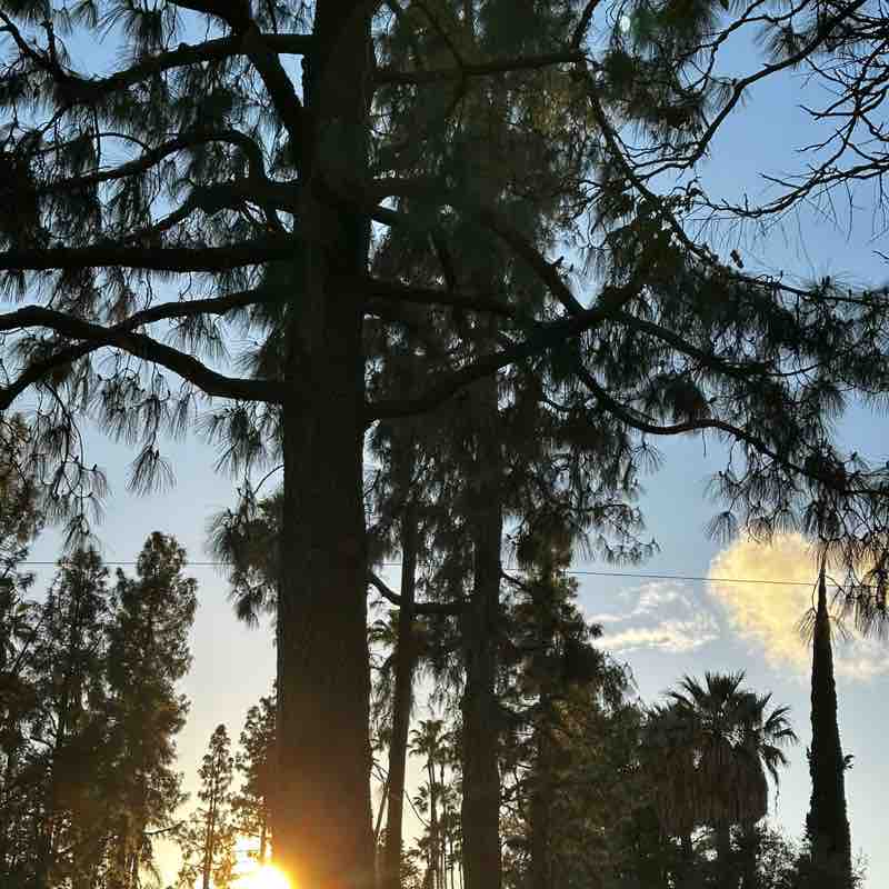 Walk for Ukraine Barbara post image