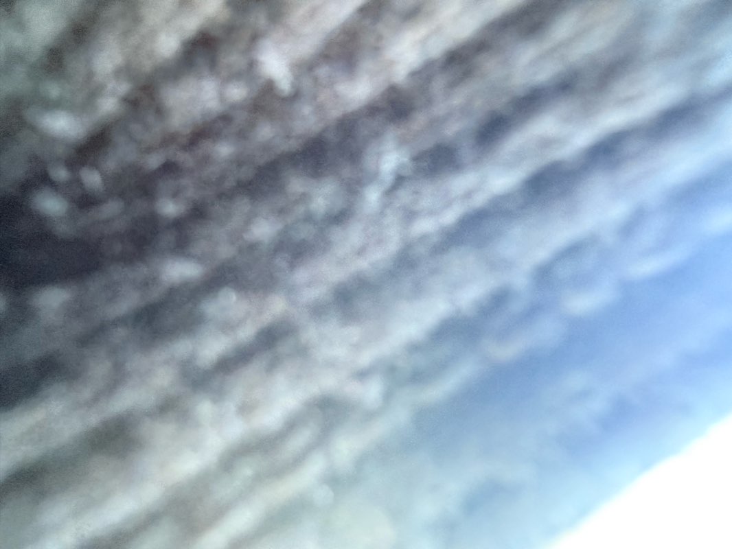 walking near me in Towers Park in winter