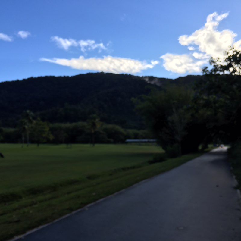 patrickhalfhide post 1