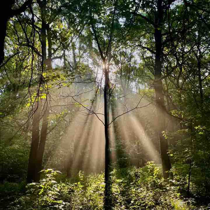 Илья Машков post 1