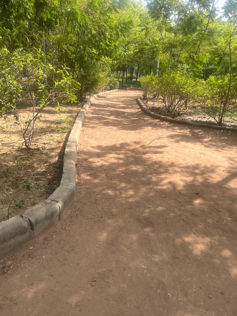 walking near me in Gotila Garden Lake in summer