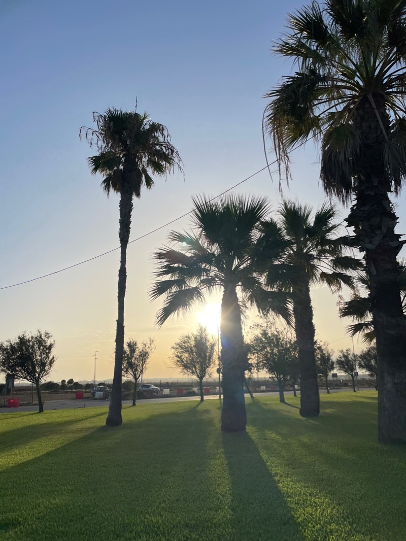 walking near me in Pinar La Barrosa in winter