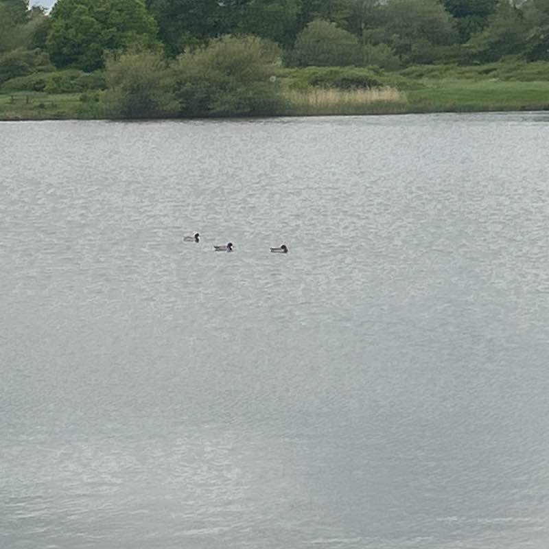 Kerry post 2
