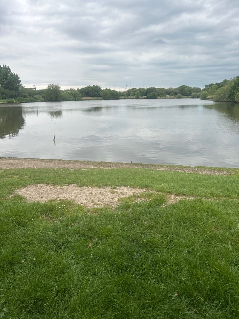 walking near me in Hendre Lake Park in spring