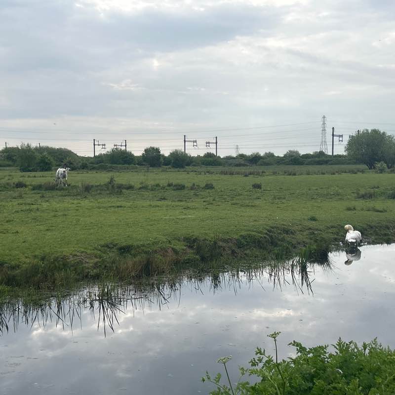 Kerry post 1