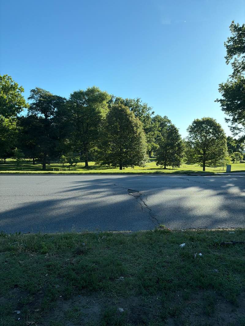 walking near me in Druid Hill Park in summer