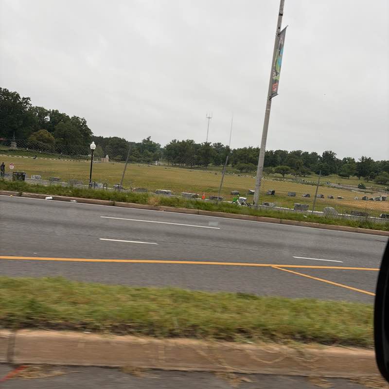 nknox36 post 1