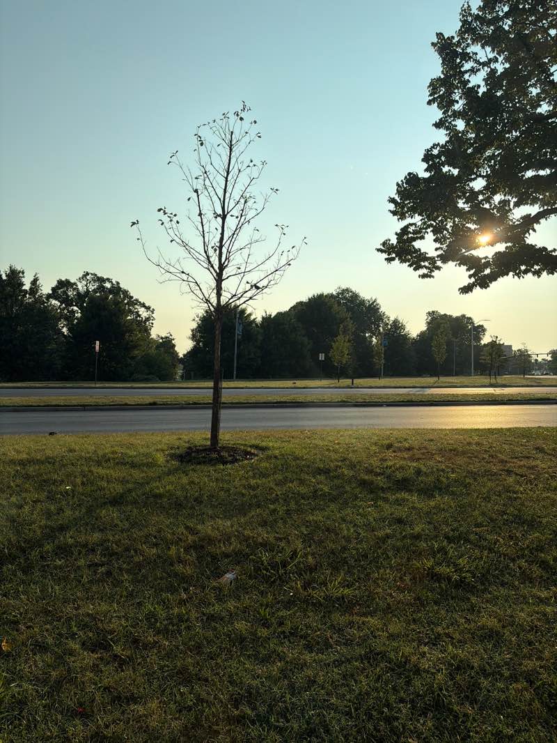 walking near me in Druid Hill Park in summer