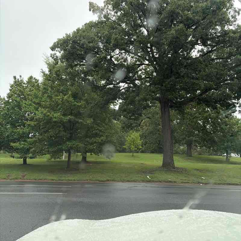 nknox36 post 1