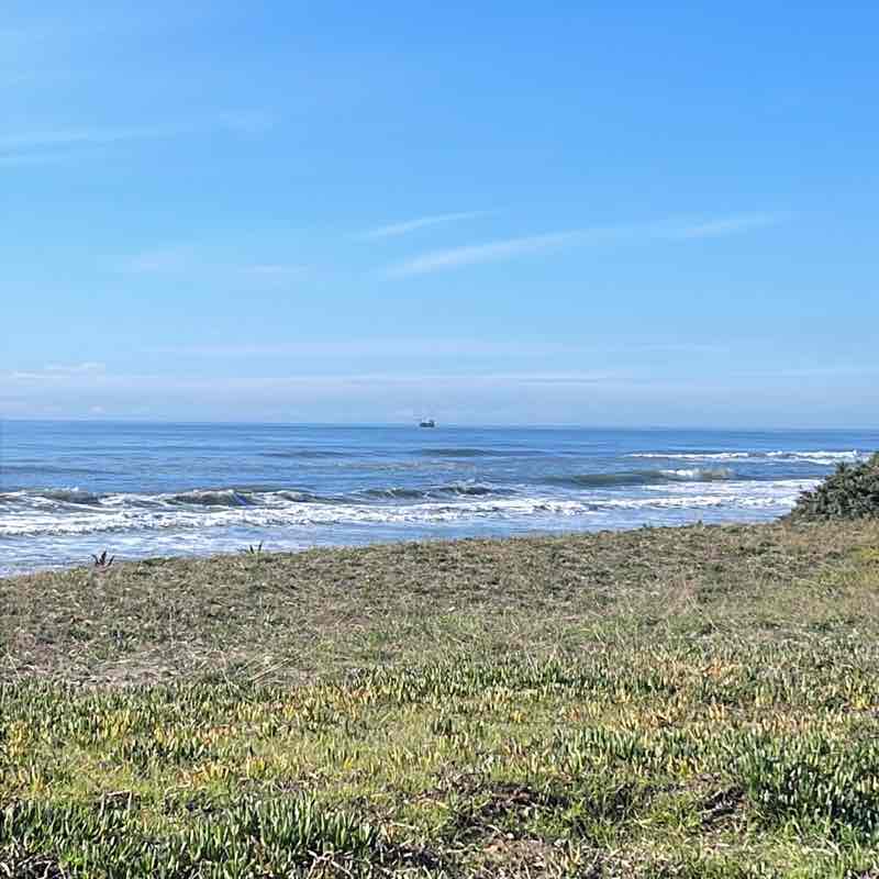 🇮🇹FRANCO  🥇🏰🥇Camelot post 1