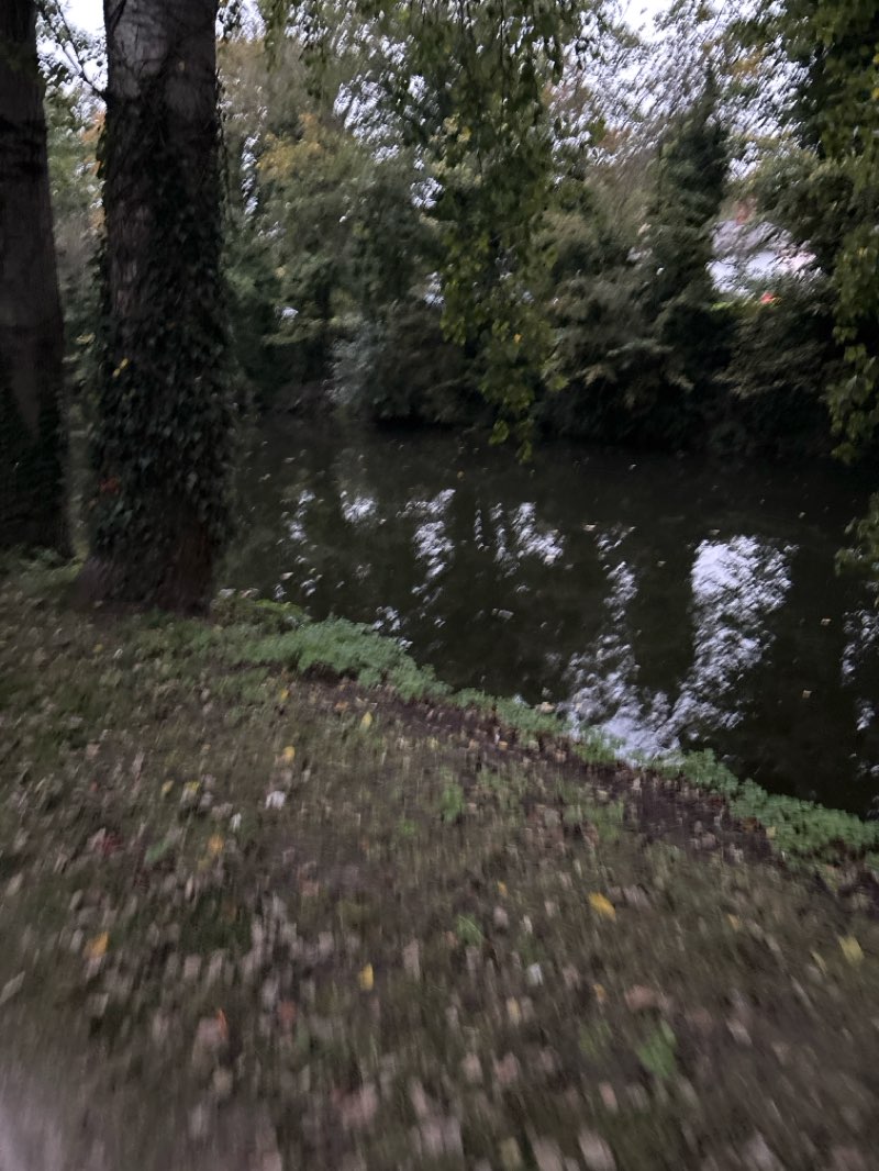 walking near me in Hythe Green in autumn