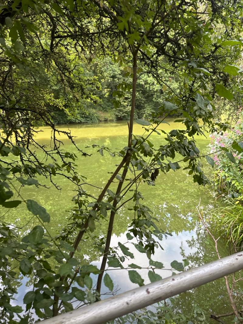 walking near me in Tonbridge Castle in autumn