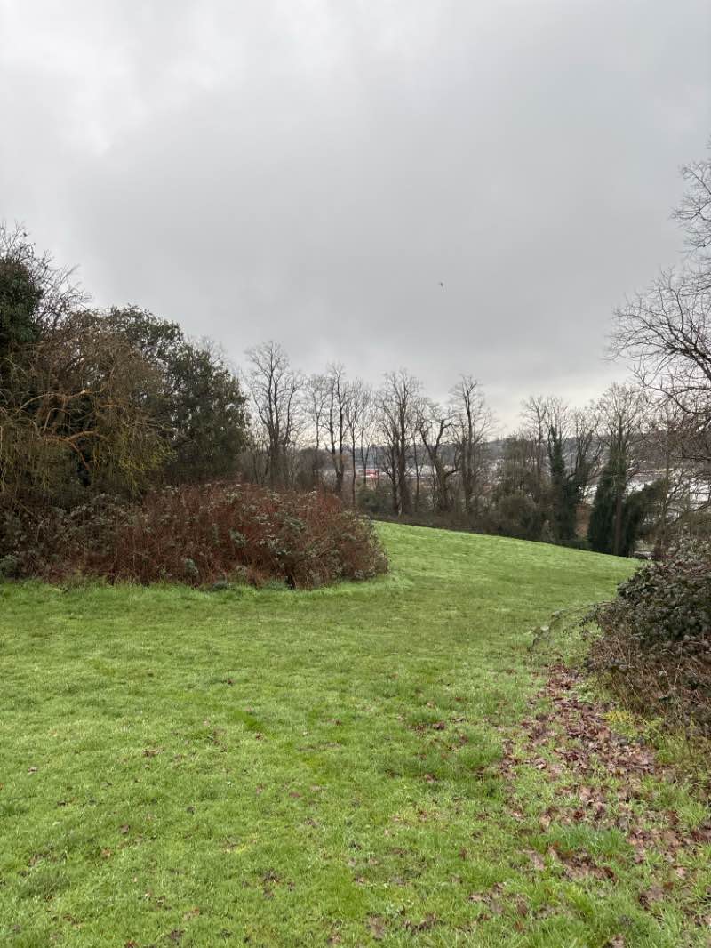 walking near me in Shenstone Park in winter