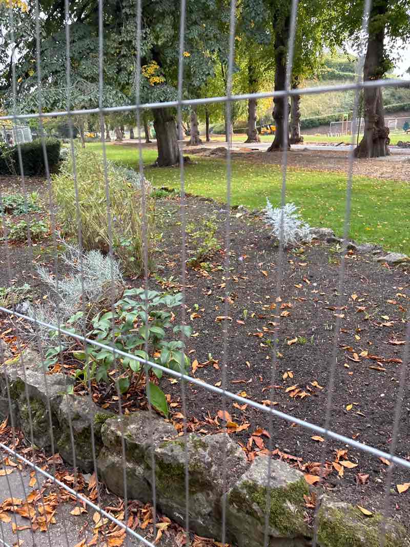walking near me in Dane John Gardens in autumn