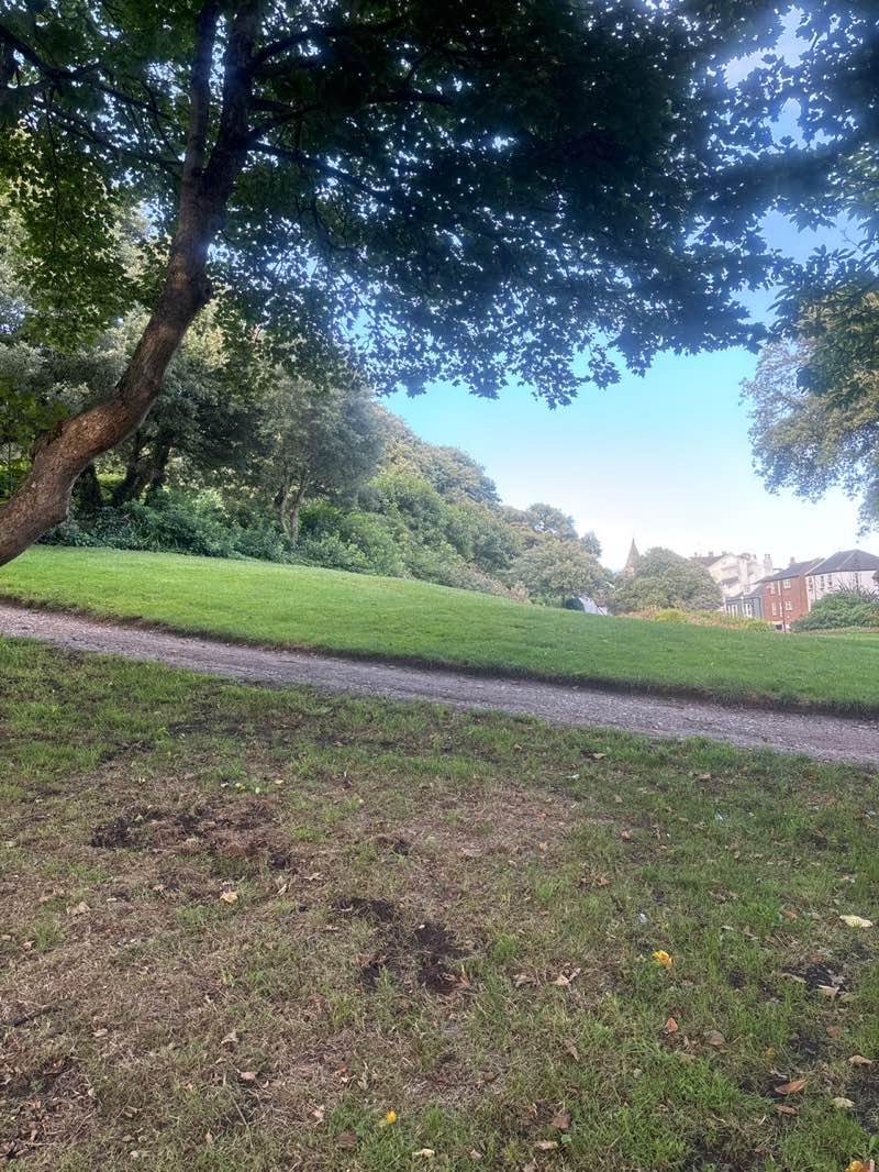 walking near me in Enbrook Park in autumn