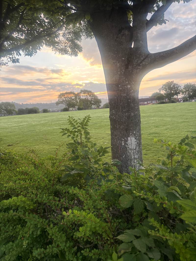 walking near me in Cheriton Recreation Ground in autumn