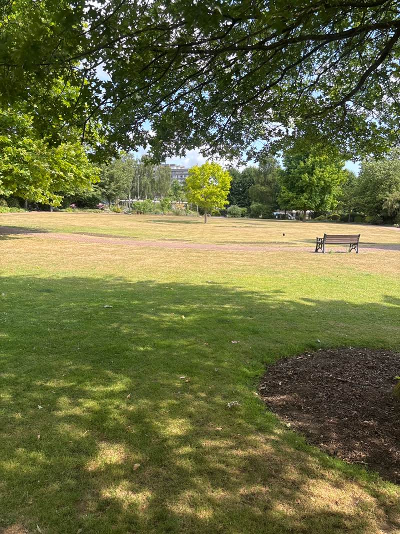 walking near me in South Willesborough Park in summer