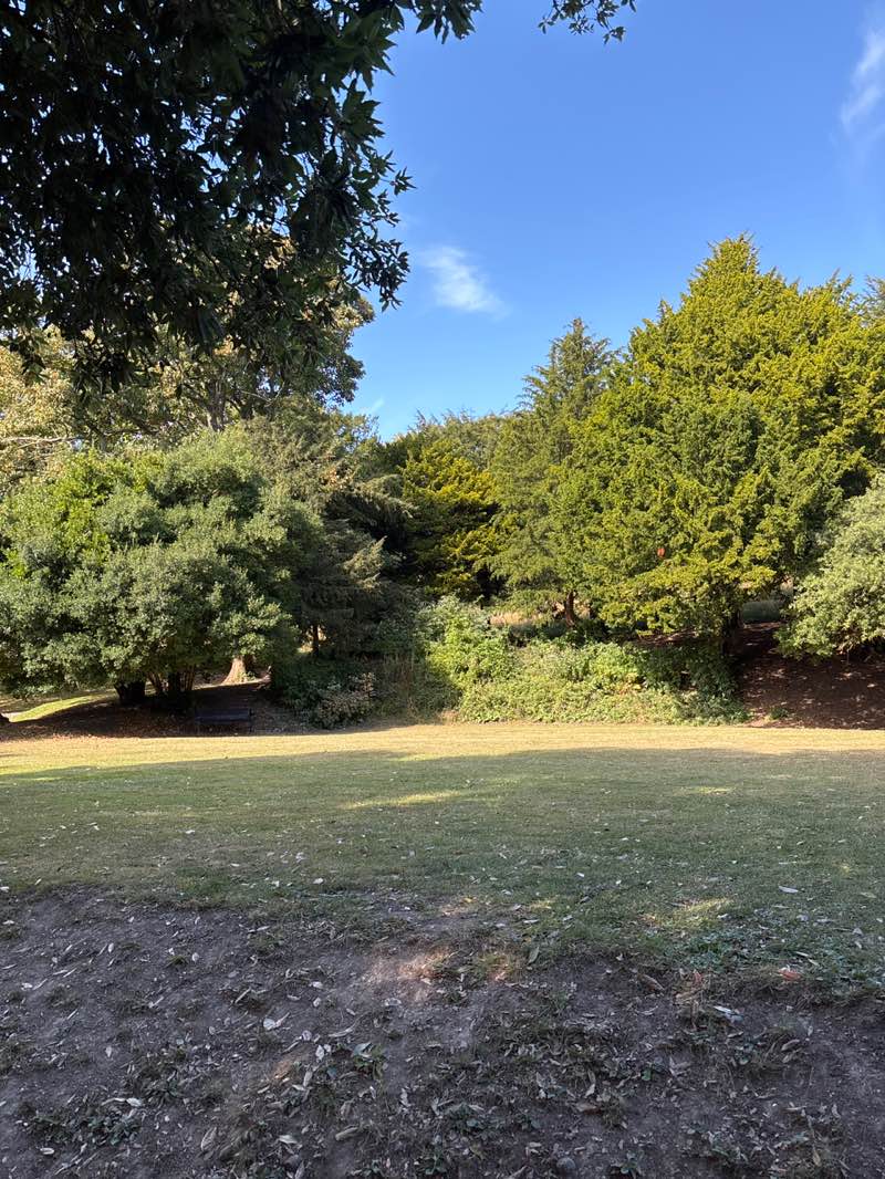 walking near me in Connaught Park in autumn