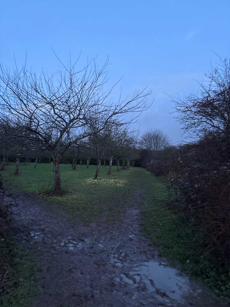 walking near me in Macey's Meadow in winter