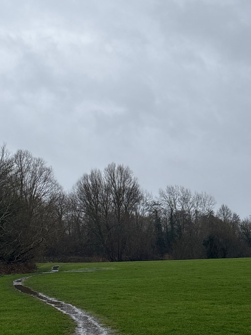 walking near me in Neville Park in winter