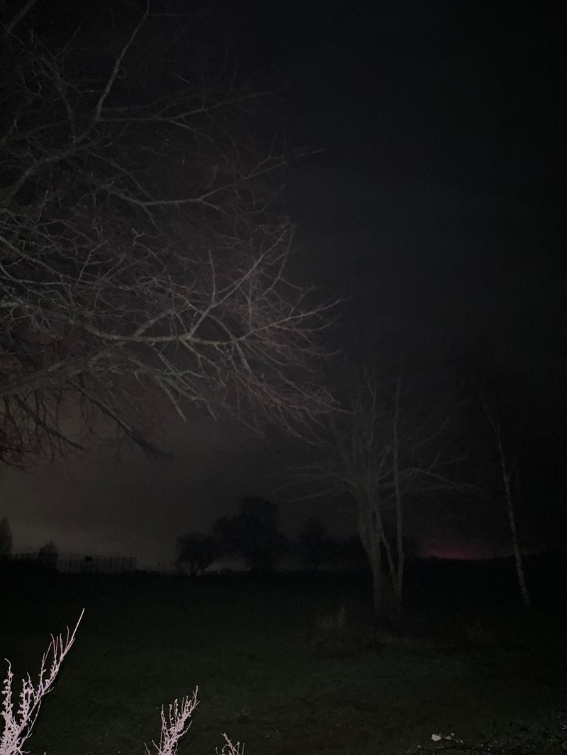 walking near me in Hernhill Park in winter