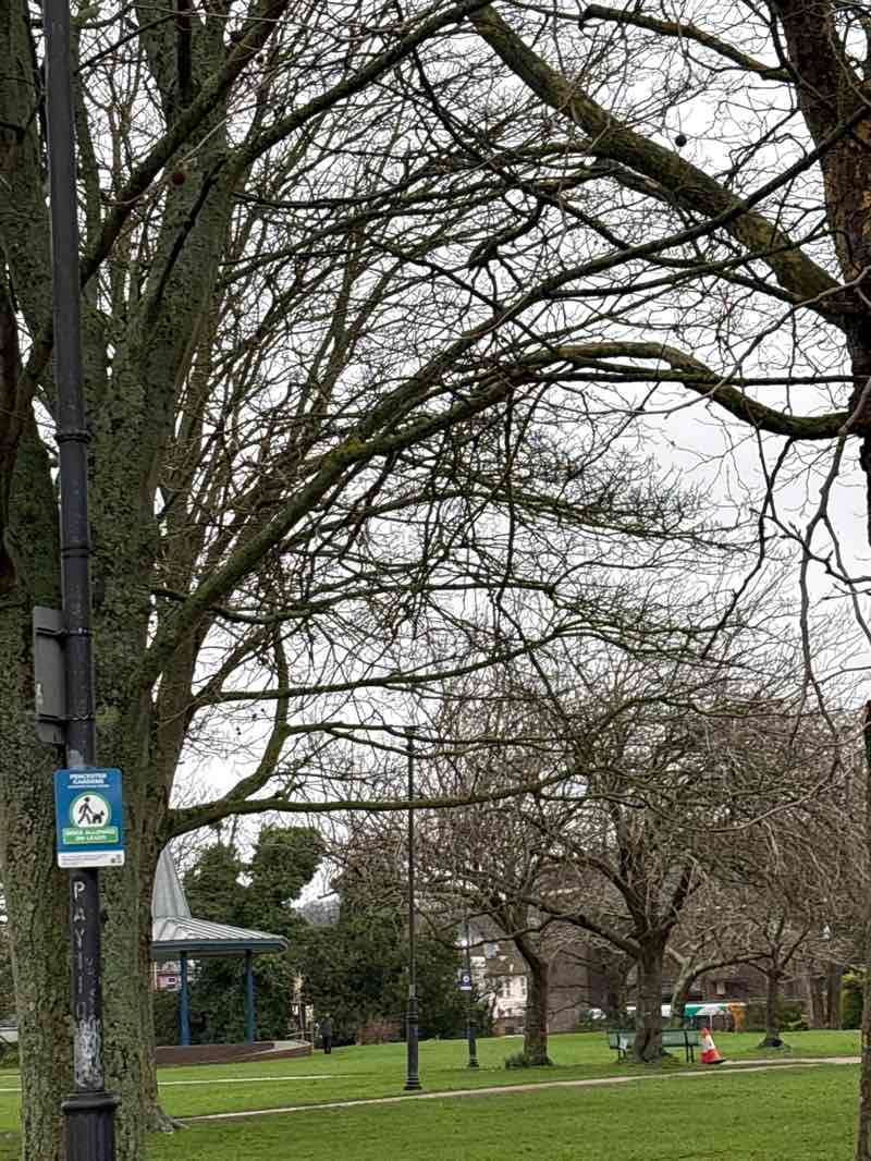 walking near me in Pencester Gardens in winter