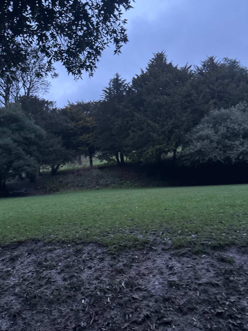 walking near me in Connaught Park in winter