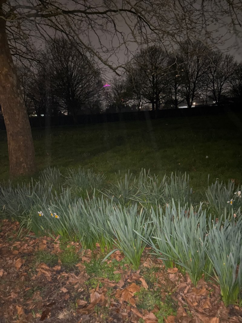 walking near me in King George's Field in spring