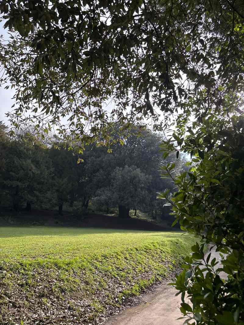 walking near me in Connaught Park in spring