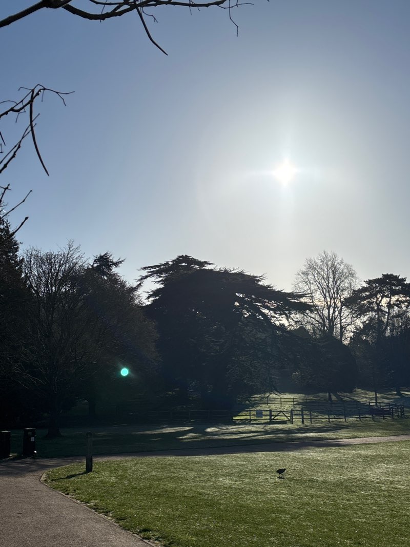 walking near me in Kearsney Abbey Gardens in spring