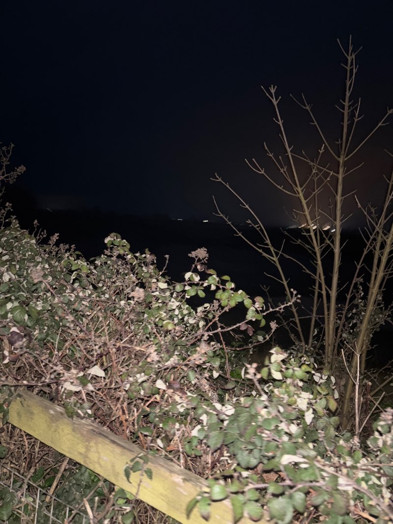 walking near me in Town Salts in spring