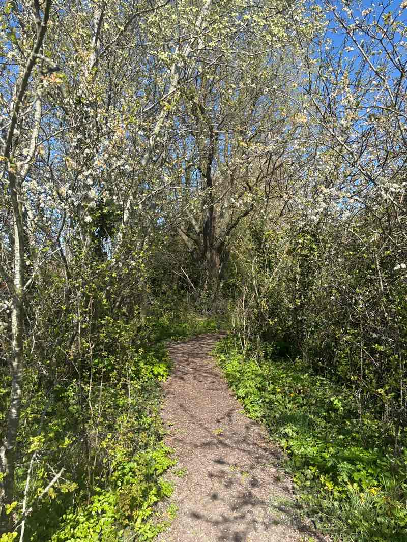 walking near me in Gazen Saltz Nature Reserve in spring