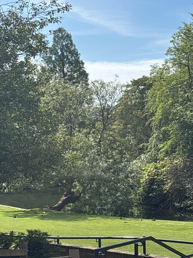 walking near me in Kearsney Abbey Gardens in summer