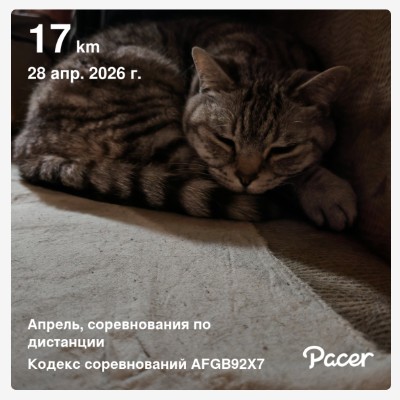 🍀 Елена-Птз 🇷🇺 post 3