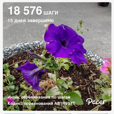 🍀 Елена-Птз 🇷🇺 post 1
