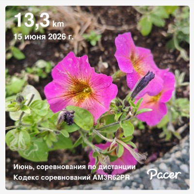 🍀 Елена-Птз 🇷🇺 post 3