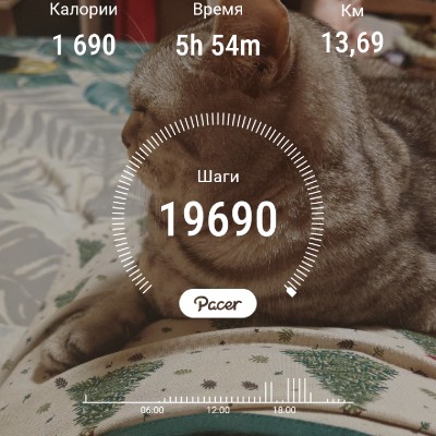 🍀 Елена-Птз 🇷🇺 post 1