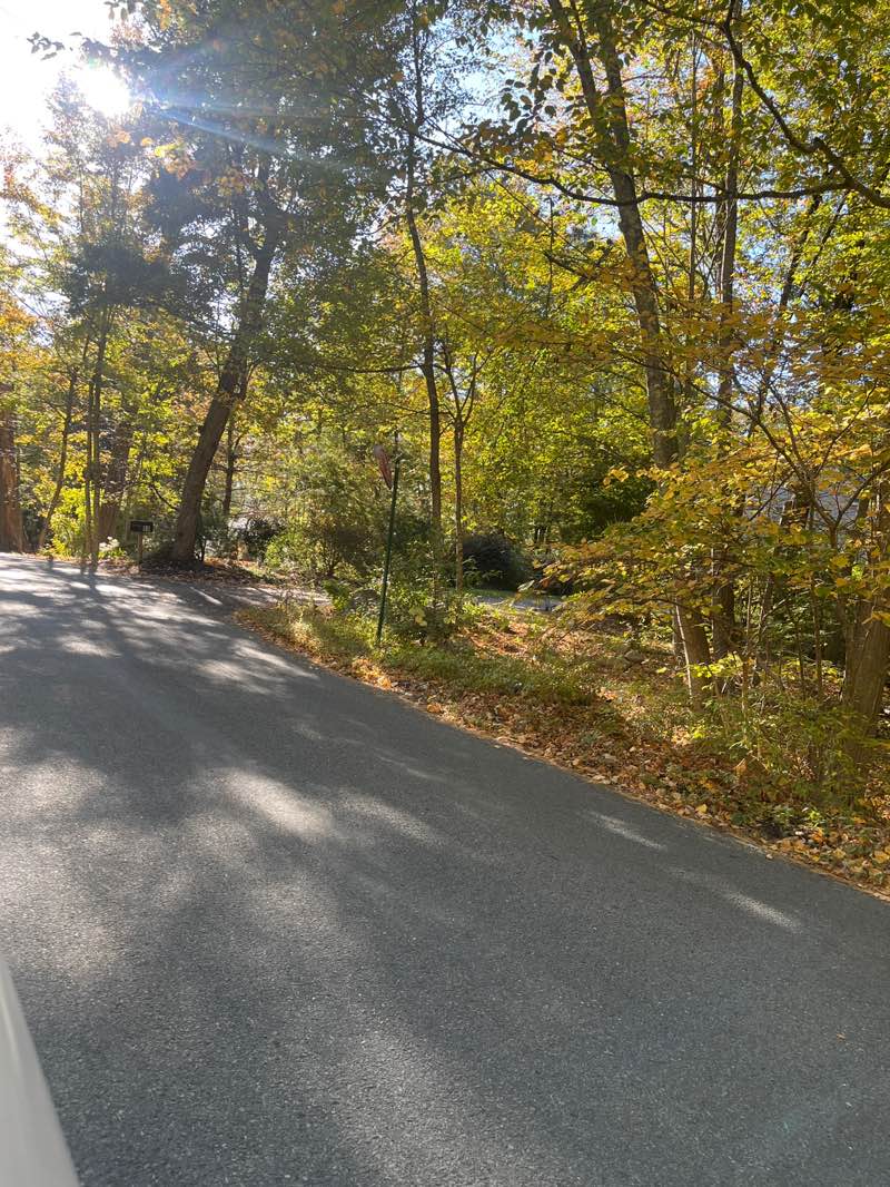 walking near me in Sylvan Way Conservation Area in autumn